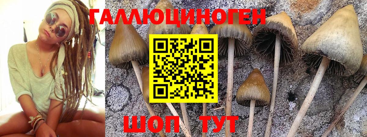 Мариинск  Псилоцибиновые грибы MAGIC MUSHROOMS  Вход с VPN 